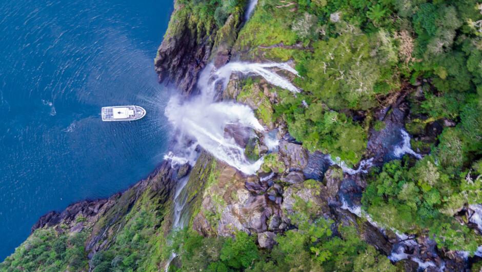 Milford Adventurer under the Stirling Falls