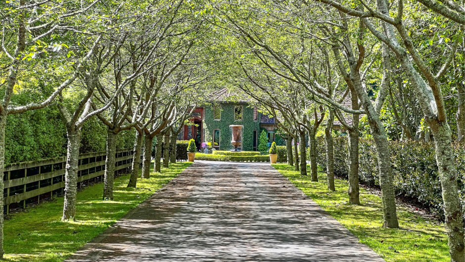 Entrance / Driveway to Le Château Moderne