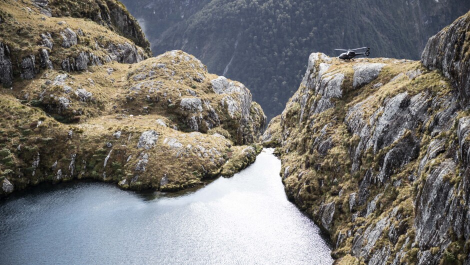 Doubtful &amp; Milford Sounds