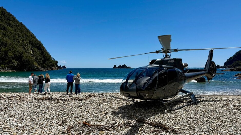 Milford Alps to Ocean