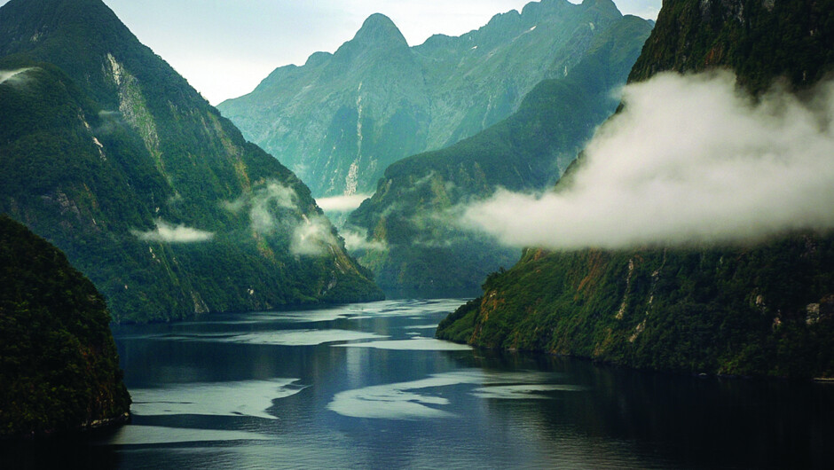 Fly through towering fiords within Doubtful Sound and Wet Jacket Arm