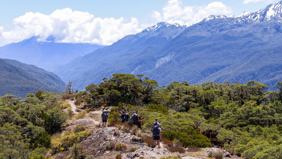 Routeburn Track