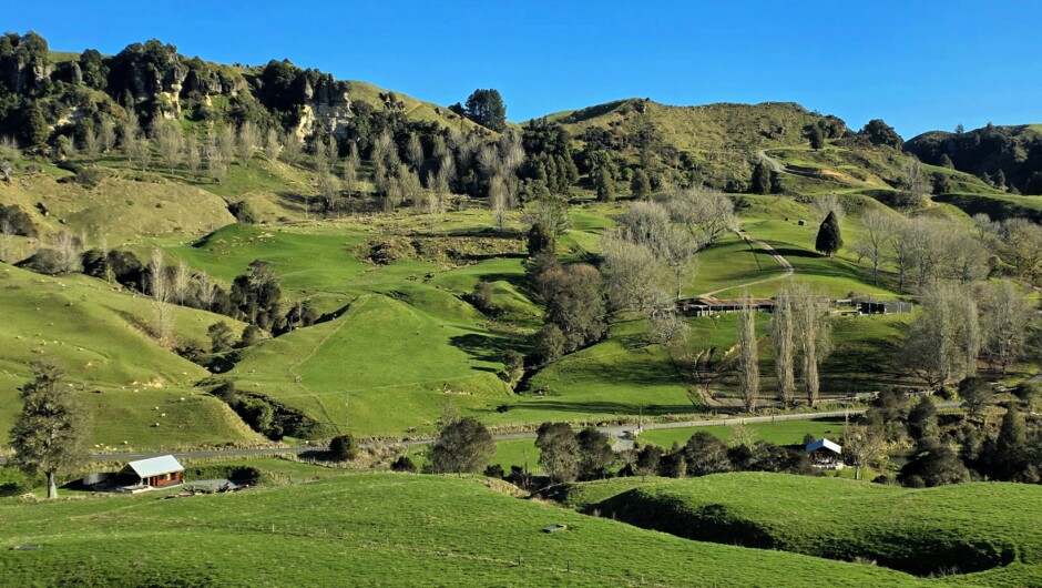 Located on a third generation sheep and beef farm in Waitomo.