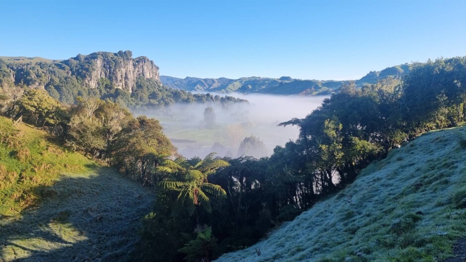 Neighbouring the dramatic limestone Denize Bluffs and Hobbit™ filming locations - just next door.