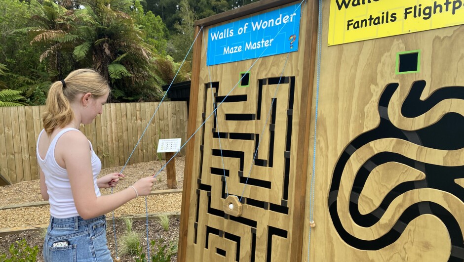 Wonderworld wall mazes