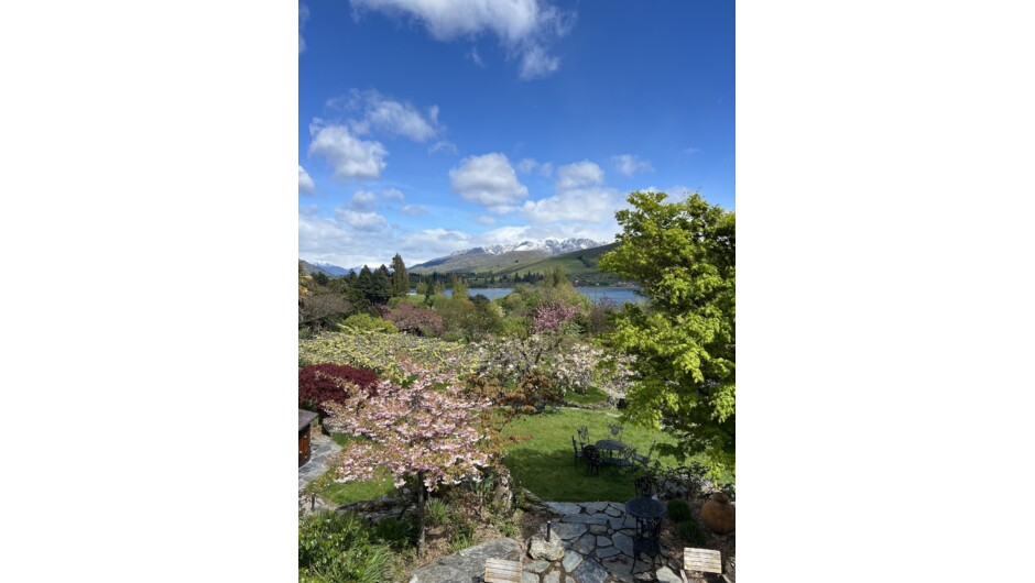 Nockie's Palette Cellar Door