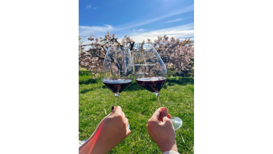 Nockie's Palette Cellar Door