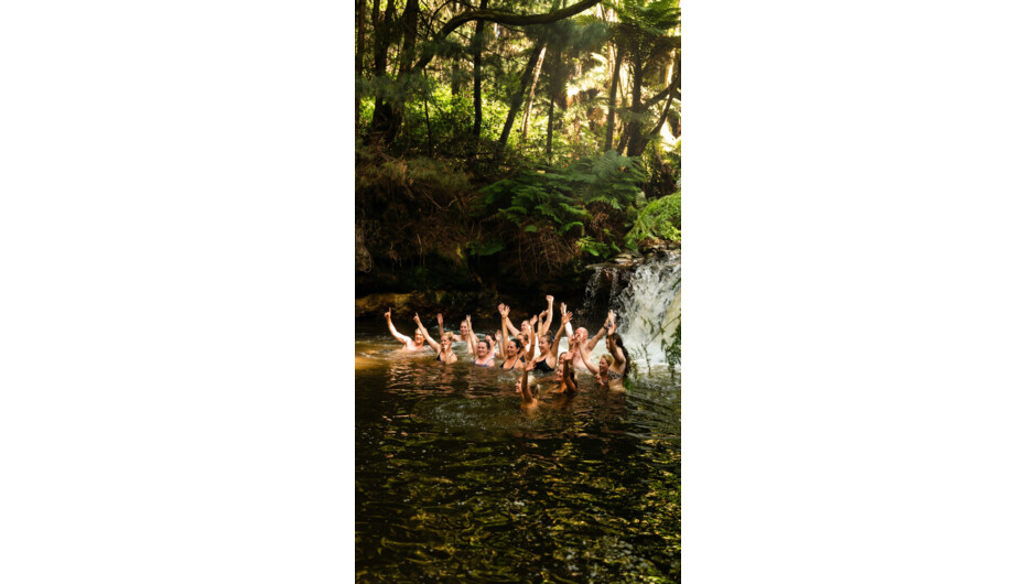 On a Stray Tour you will enjoy comfortable coaches and stop at the iconic destinations, as well as local gems only Kiwis know about.