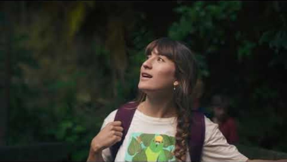 Brook Waimārama Sanctuary Overview