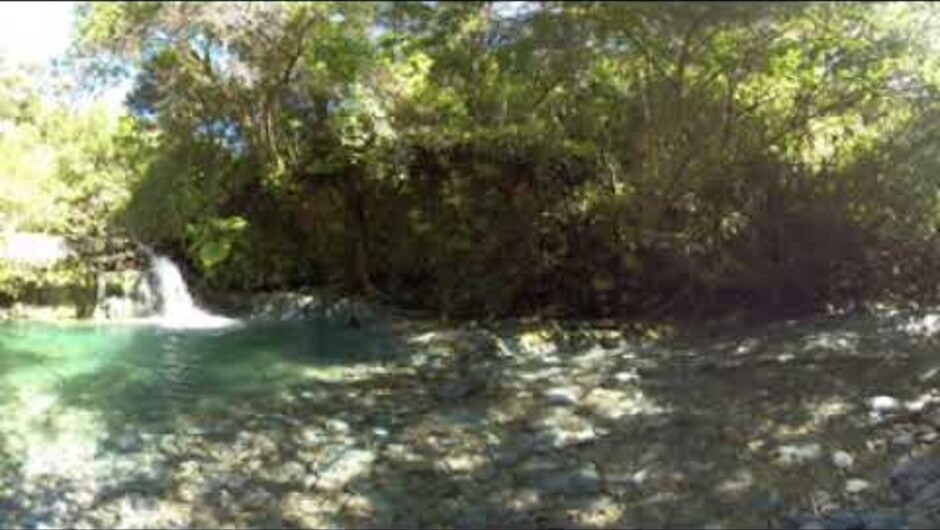 3D Waterfall - Experience the beauty of the Brook Waimārama Sanctuary waterfall