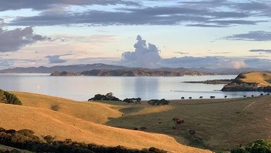 Wharau Lodge holiday home nestled in native bush with views over the Bay of Islands near Kerikeri.