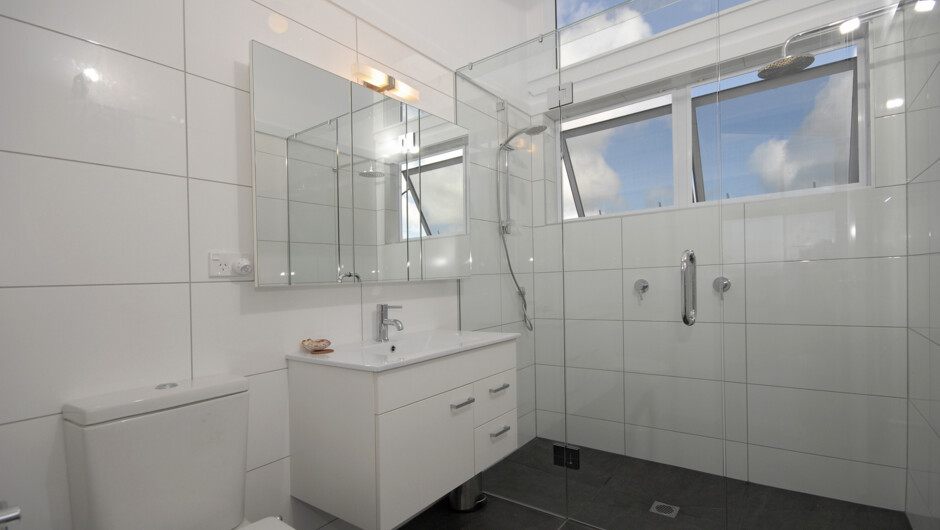 Modern bathroom with a large double shower