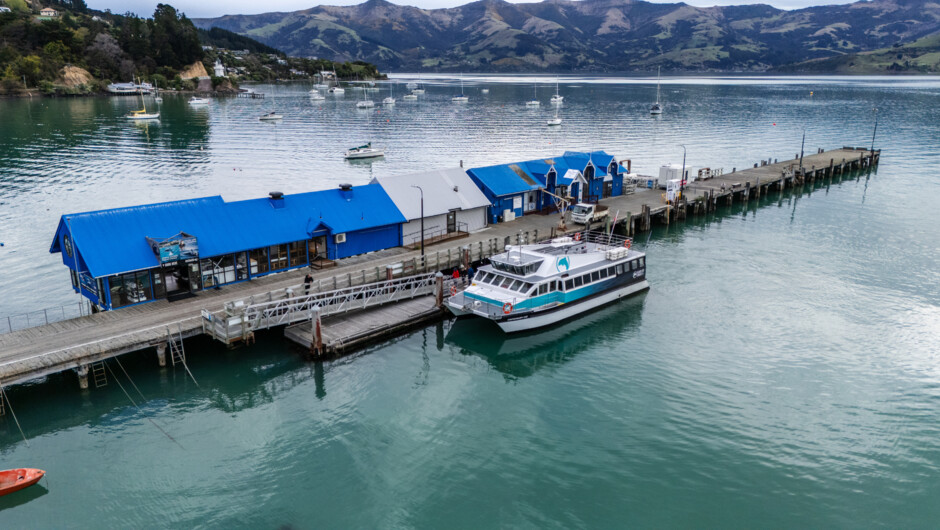 Main Wharf Akaroa