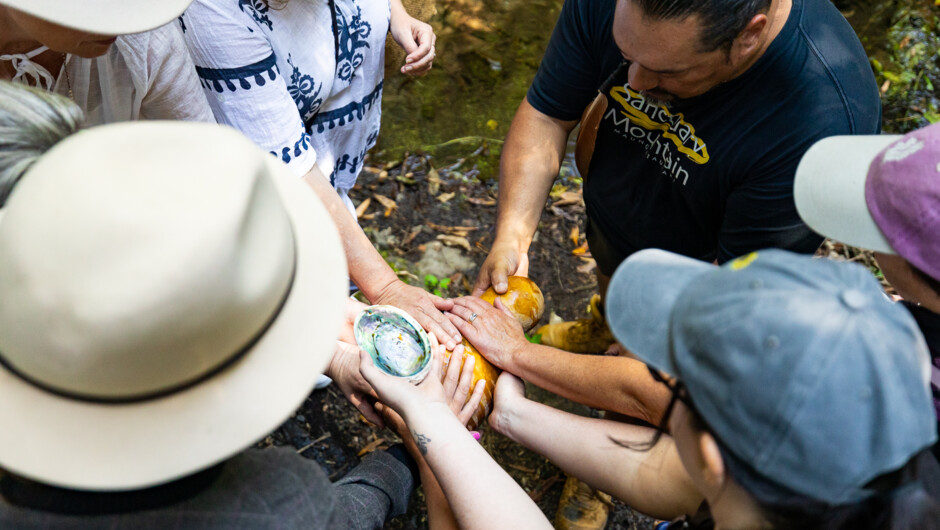 Discover how ancient Māori warriors relied on the elemental forces of water, fire, and wind to survive and thrive in the forest.