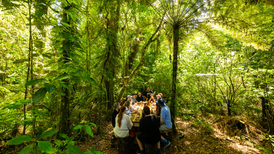 Enjoy a cup of refreshing kawakawa tea at the end of your Moa Hunter tour