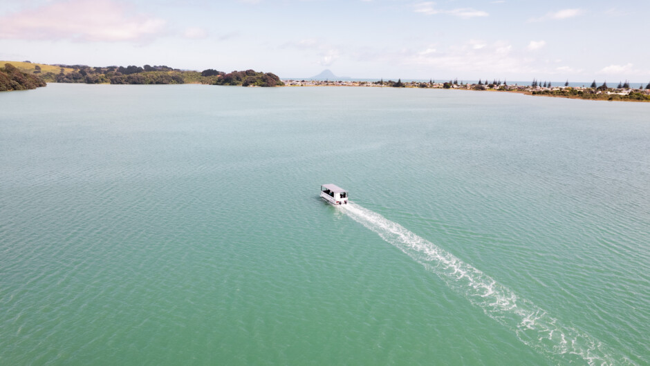 Kōtiti cruising across Ōhiwa Harbour towards the oyster farm