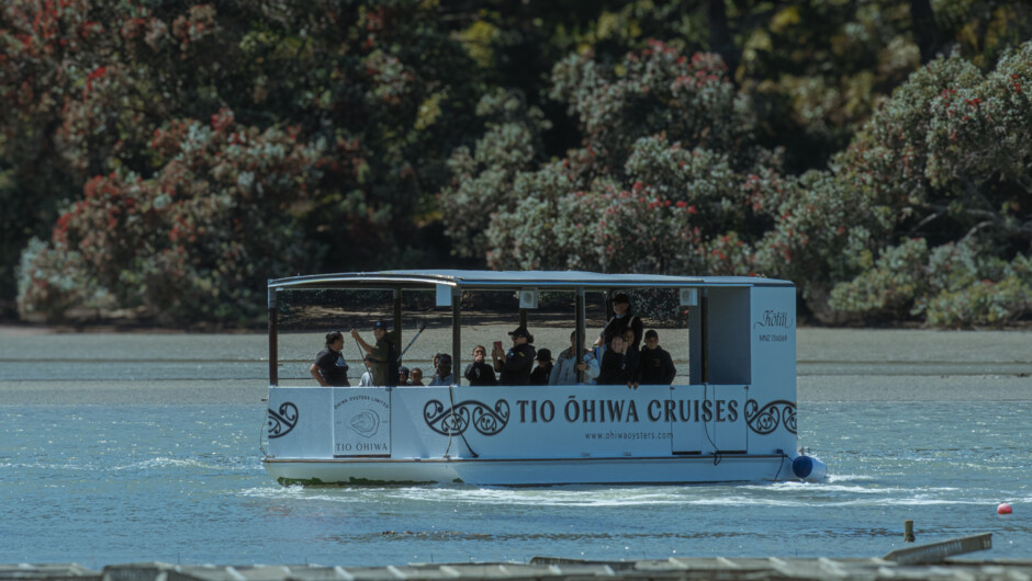 Kōtiti approaching the Ōhiwa Oyster Farm