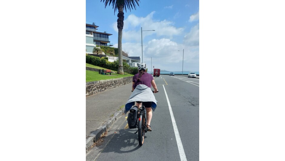 Tamaki drive Auckland waterfront - ebike cruise