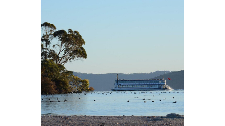 Lakeland Queen sailing Lake Rotorua