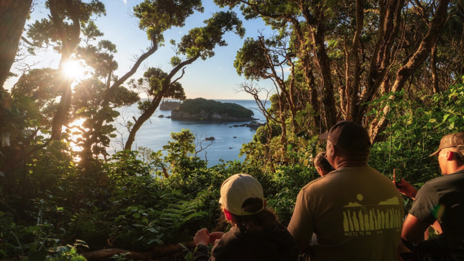 Tunaiti lookout to Whenuakura (Donut Island)