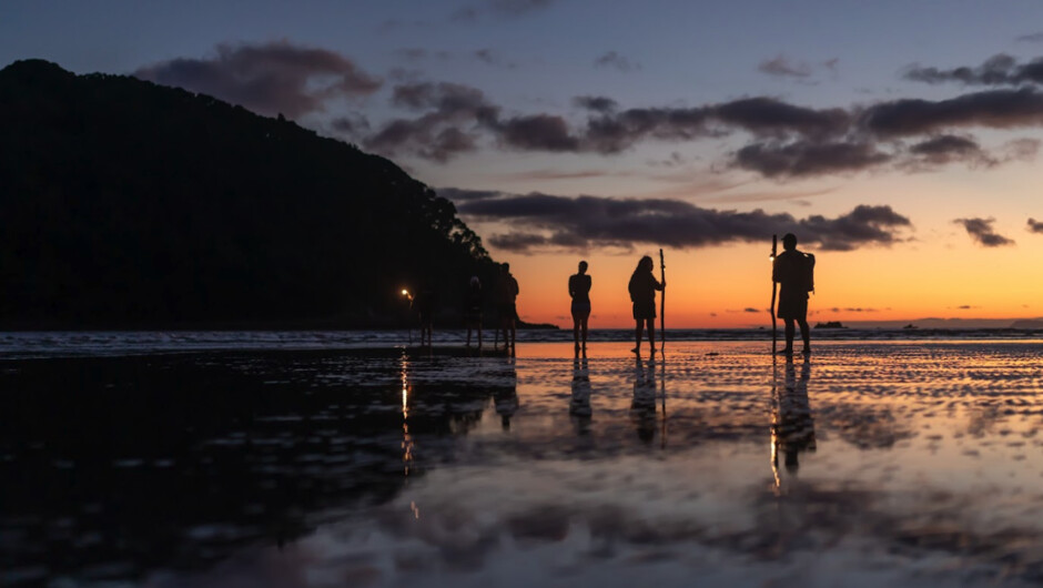 Guided low tide crossing at dawn, from Whangamatā Beach to Hauturu
