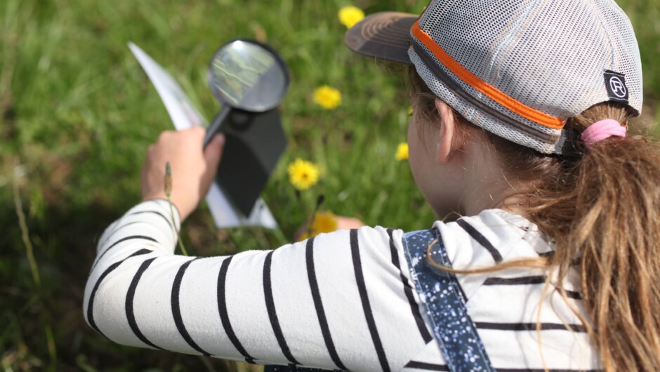 Science in action in the polyculture paddock