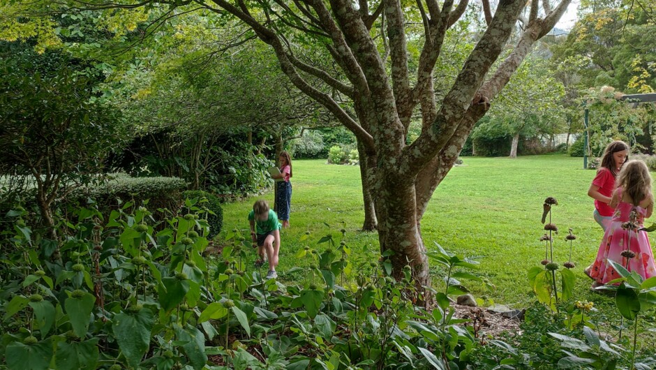 Nature journaling in our nationally acclaimed walking gardens