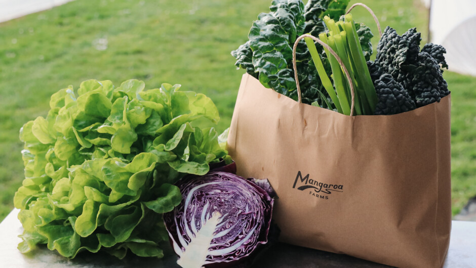 Mangaroa Farms produces meat, fruit and vegetables using regenerative growing principles. Available at our farm shop.