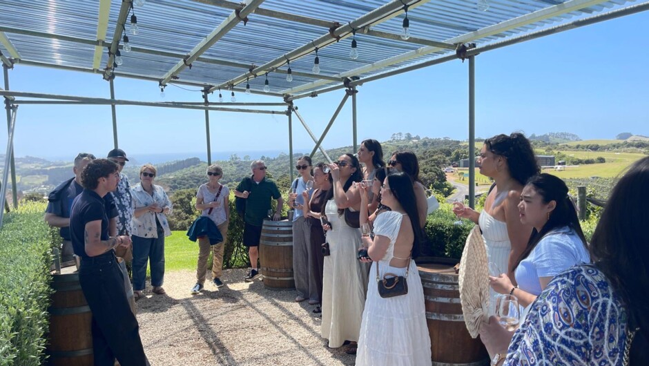 Batch Winery - Wine Tasting