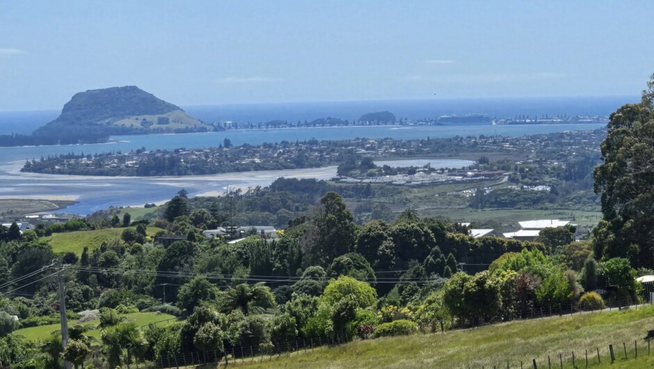 View at the Minden Lookout
