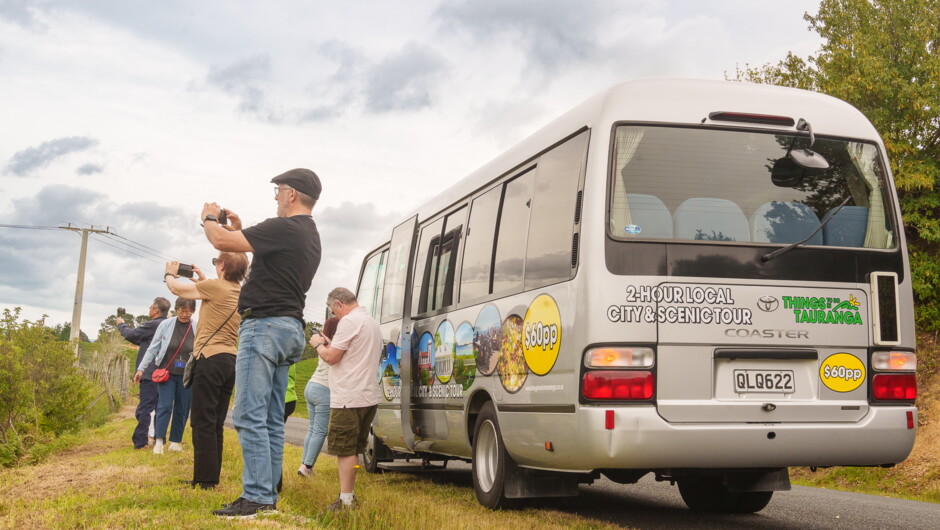 Small Bus at Minden Lookout
