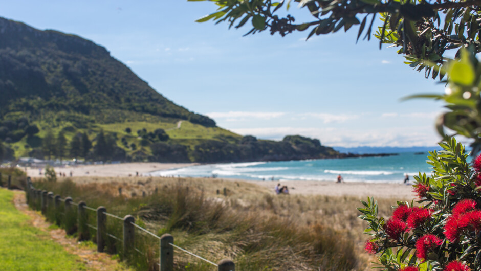 Mount Main Beach view