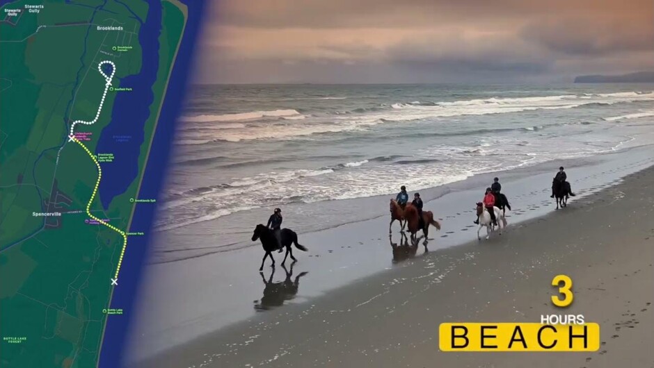 Christchurch Icelandic Horse Treks Video