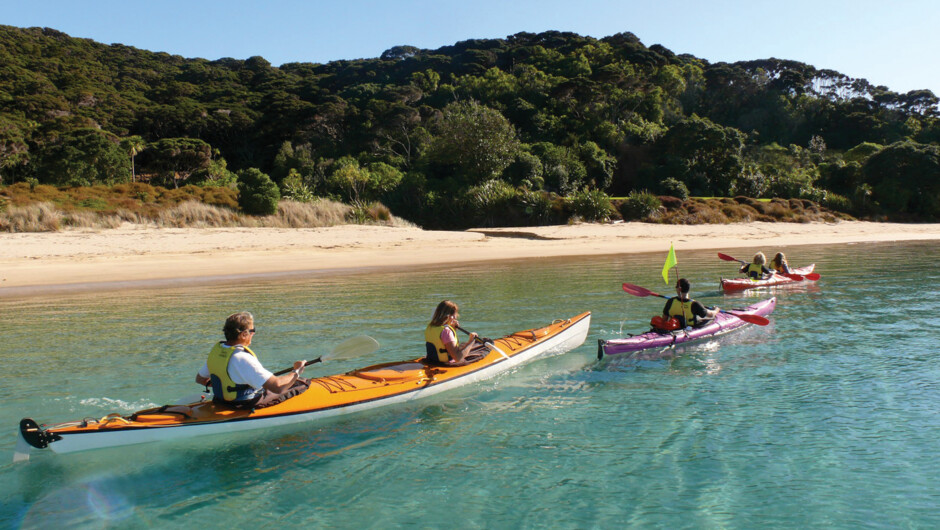 Abel Tasman Kayak