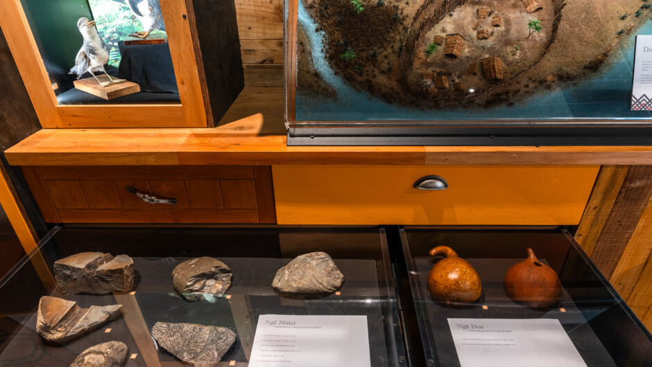 Explore the Curioseum