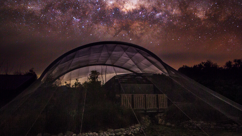 Pukaha free flight at night