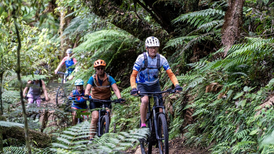 Riding in the forest