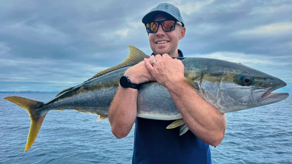 Hauraki Gulf Kingfish