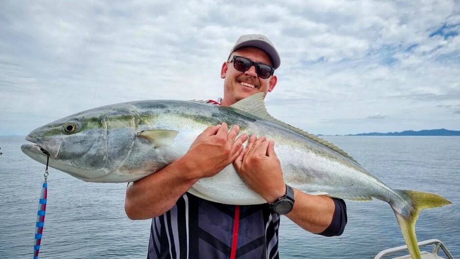 Trophy Hauraki Gulf Kingfish