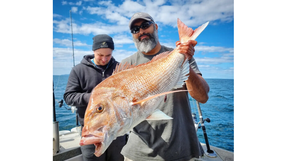 Trophy Snapper in the Hauraki Gulf