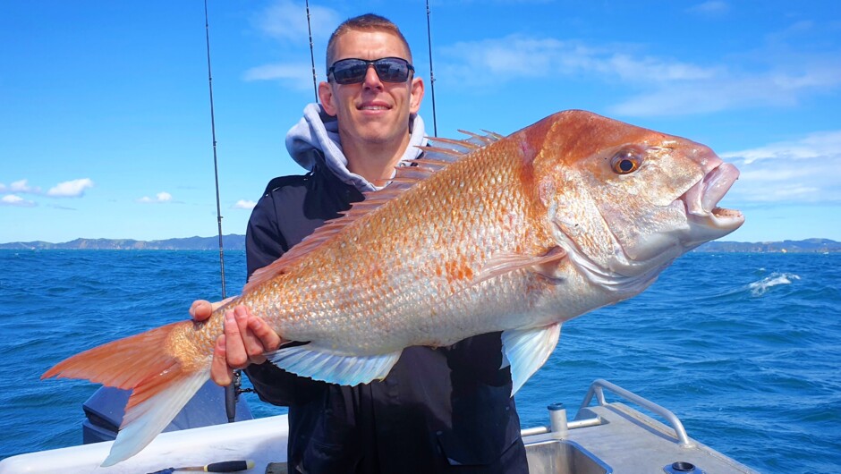 Big Snapper - Hauraki Gulf