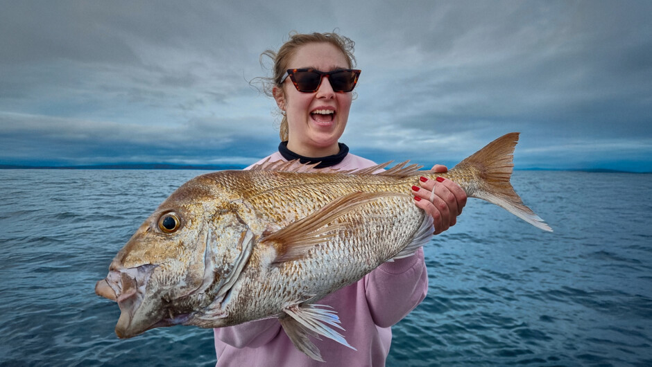 Snapper - Auckland fishing