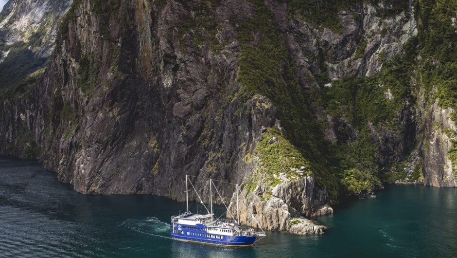 Milford Sound Cruise