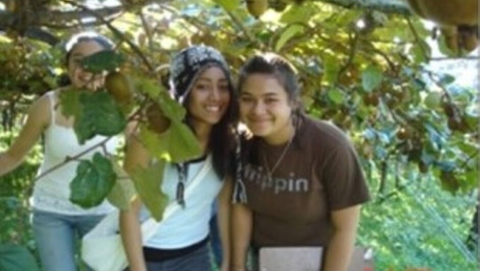 Kiwifruit orchard