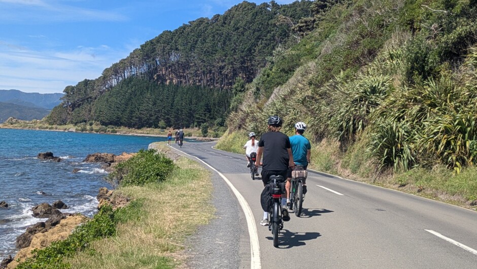 On road section, Shelly Bay