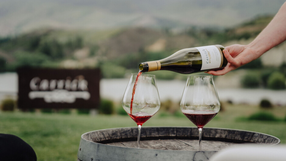 Enjoy a wine tasting with a view on our wine tours