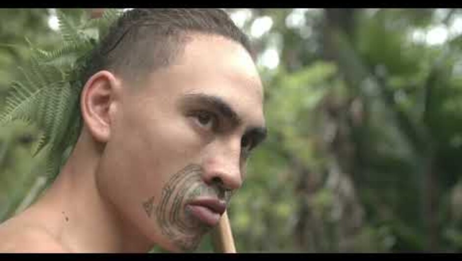 Mercury Bay Museum Promotional Advertisement