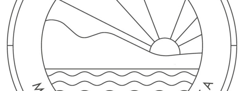 175┬░ East circular logo.png