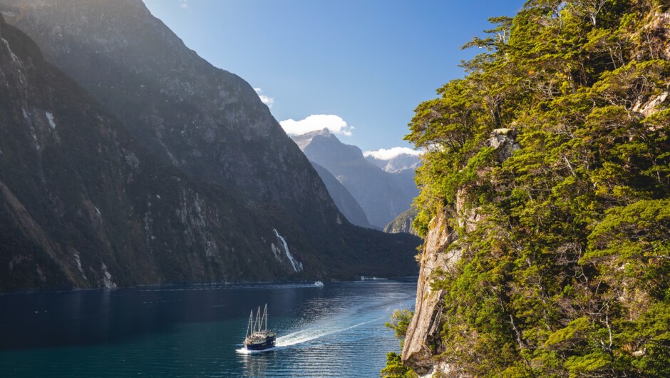 Milford Sound, Fiordland