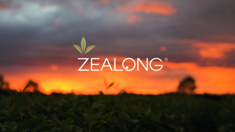Zealong Tea Estate